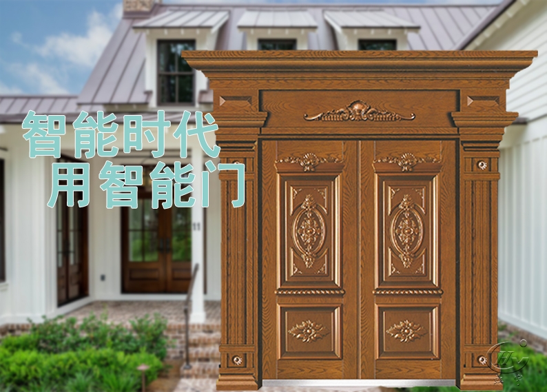 无孔智能门